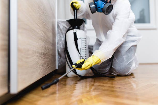 Trusted Hayfield, VA Pest Control Experts