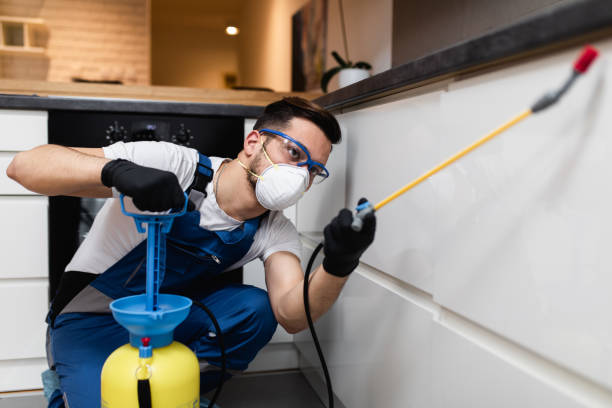 Best Affordable Pest Control Services  in Hayfield, VA