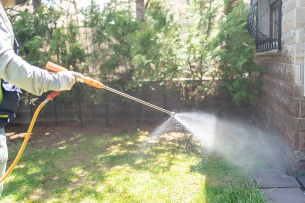 Best Rodent Control Near Me  in Hayfield, VA